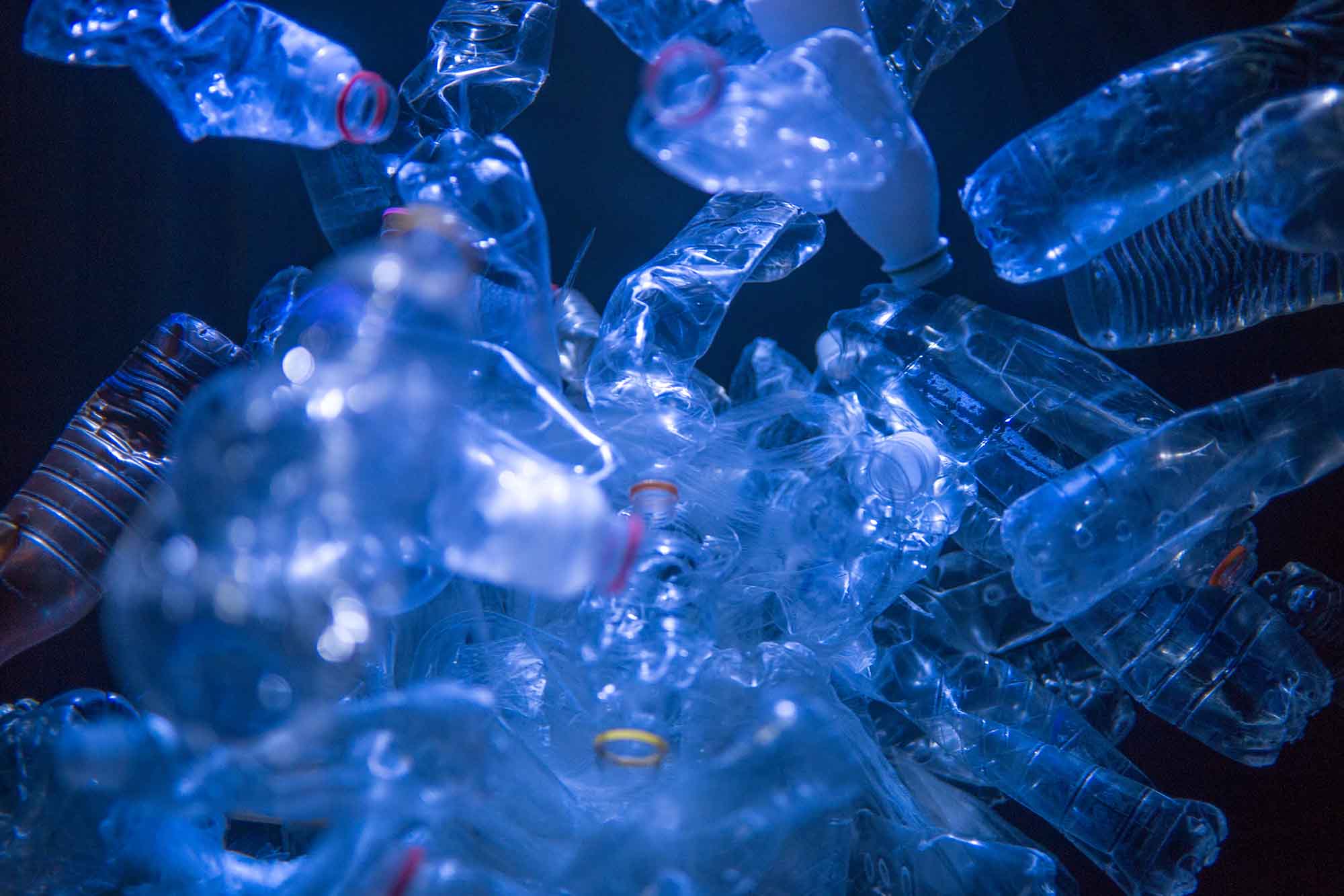 Лигноцеллюлозный биопластик. Биопластик упаковки. Plastic make. Plastic make. Plastic make.